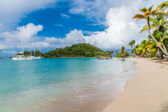 Saltwhistle Bay auf Mayreau Saltwhistle Bay auf Mayreau