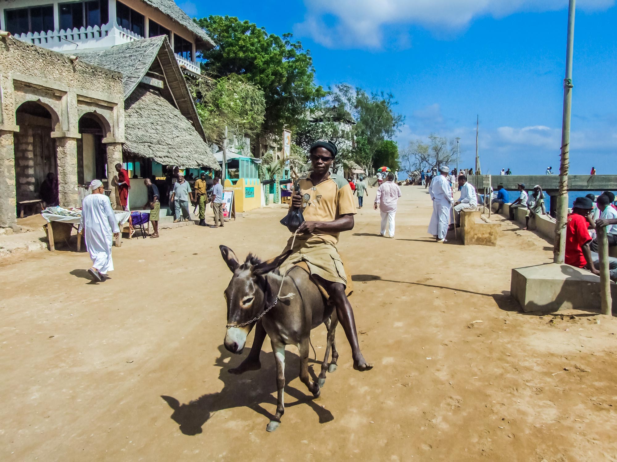Insel Lamu - 4000 Esel vor der Küste in Kenia